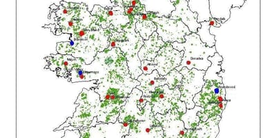 Зураг ирланд ой